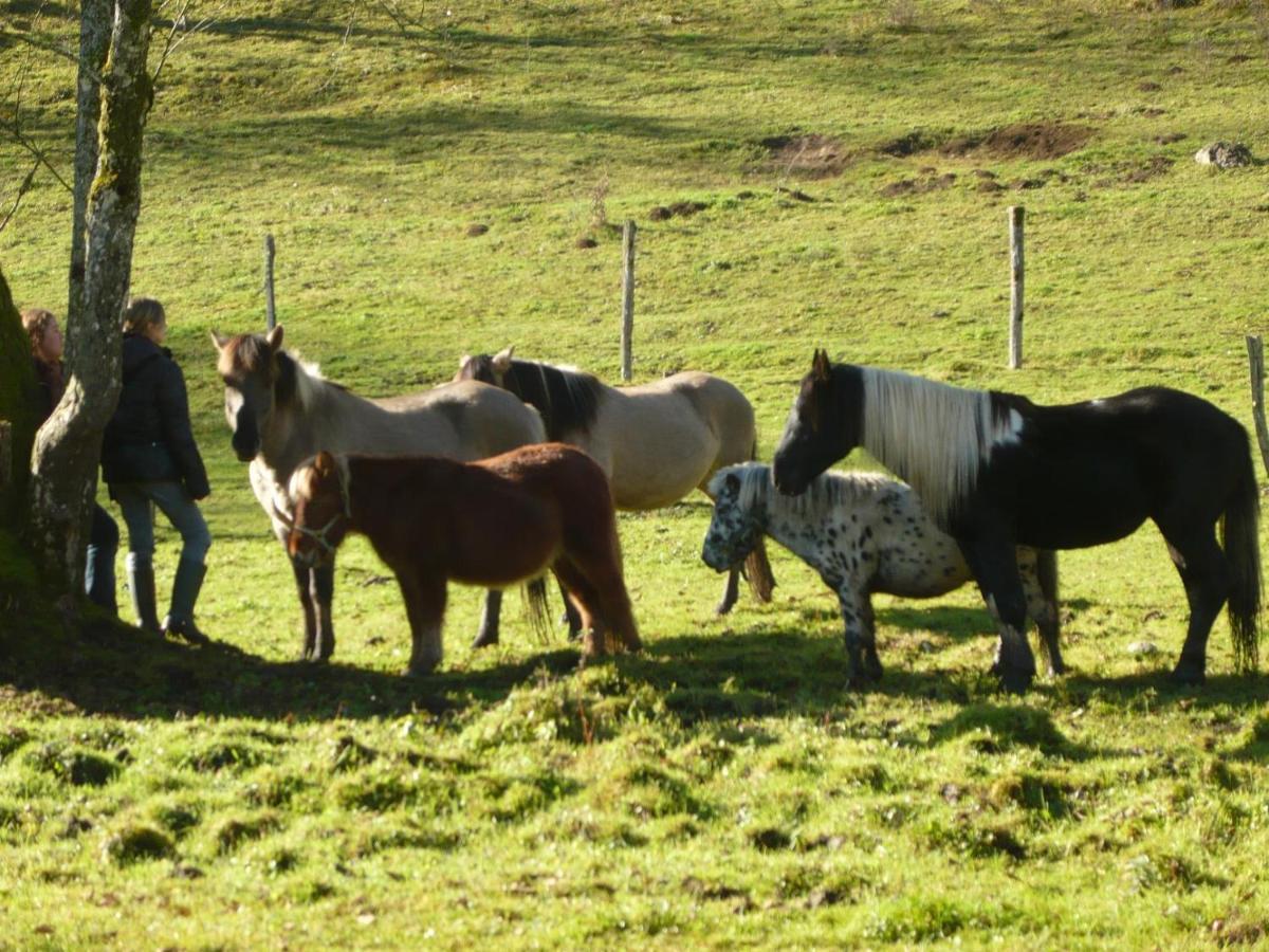 Parc Animalier Du Herisson Villa Doucier Luaran gambar